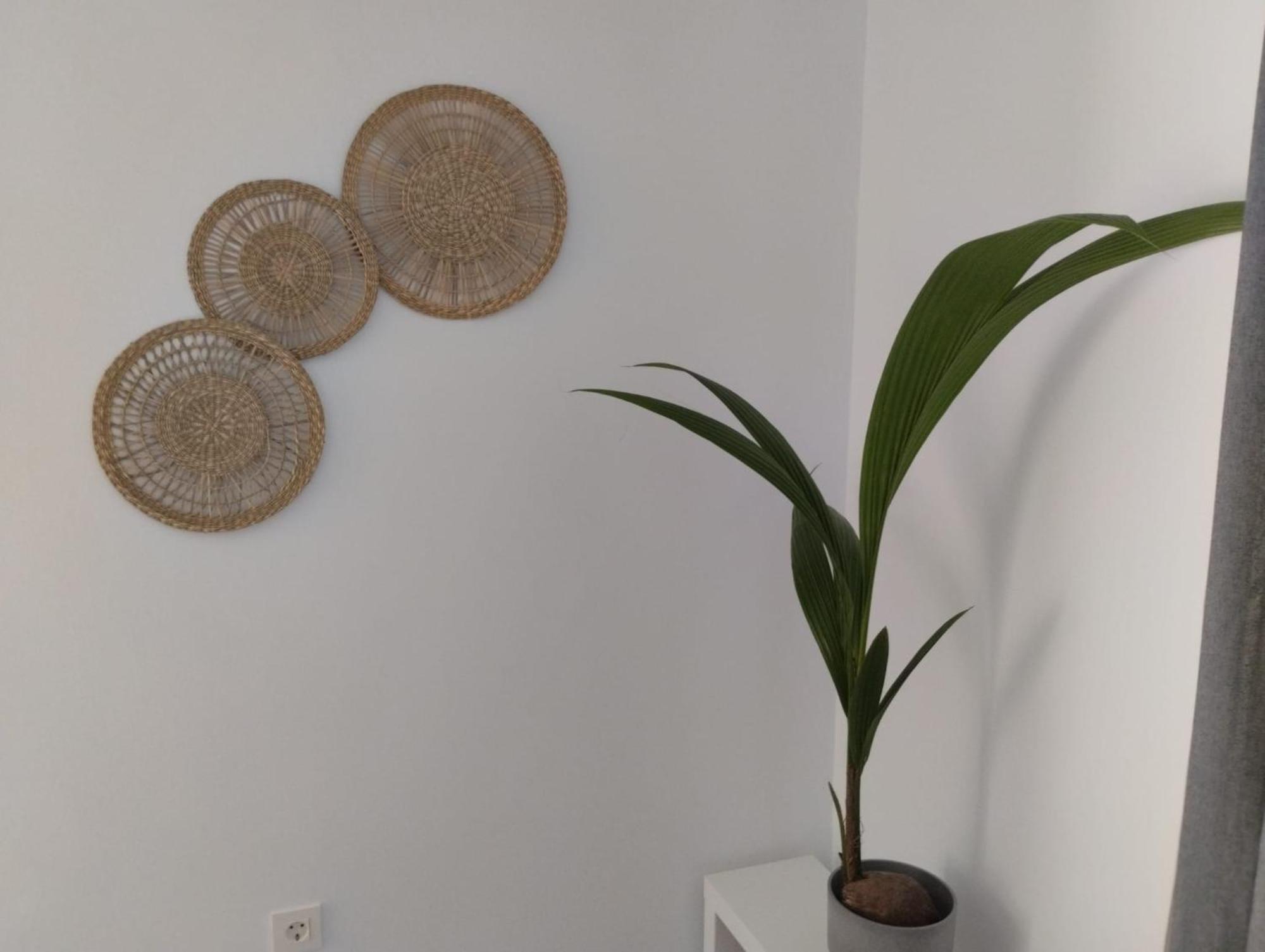 Apartamento Sun Gate Jerez de la Frontera Exterior foto