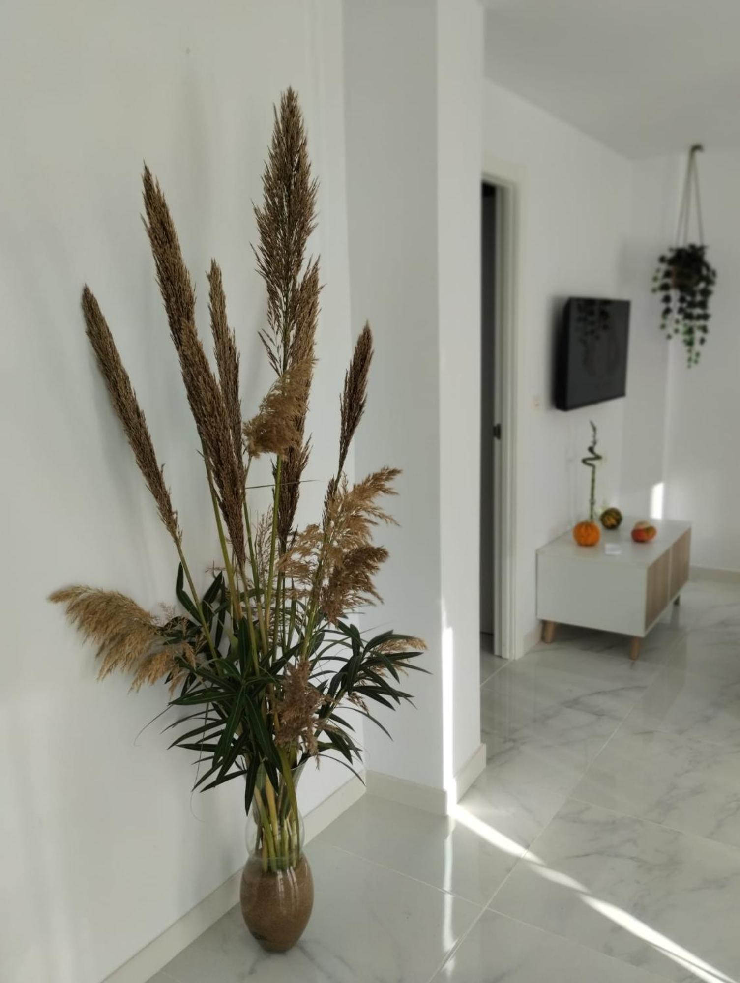 Apartamento Sun Gate Jerez de la Frontera Exterior foto